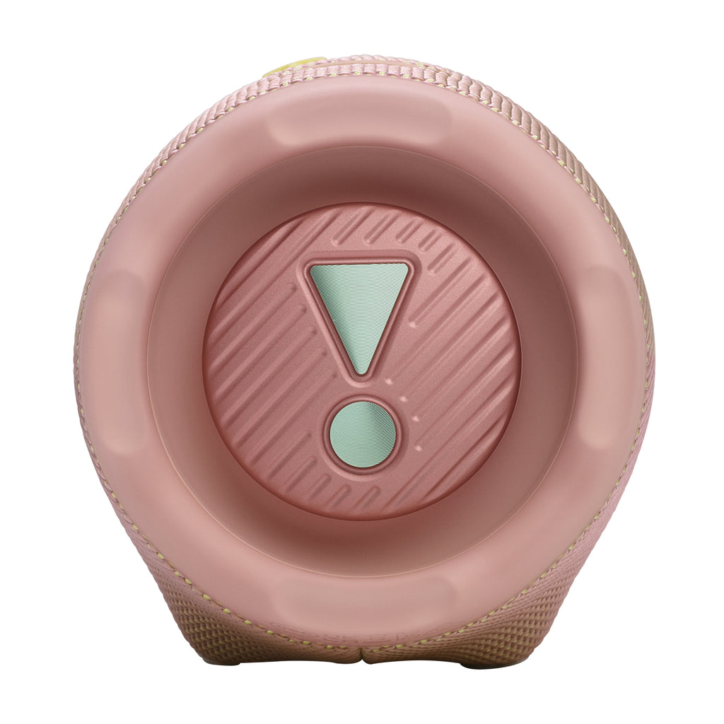 JBL Charge 6 Rosa 45 W