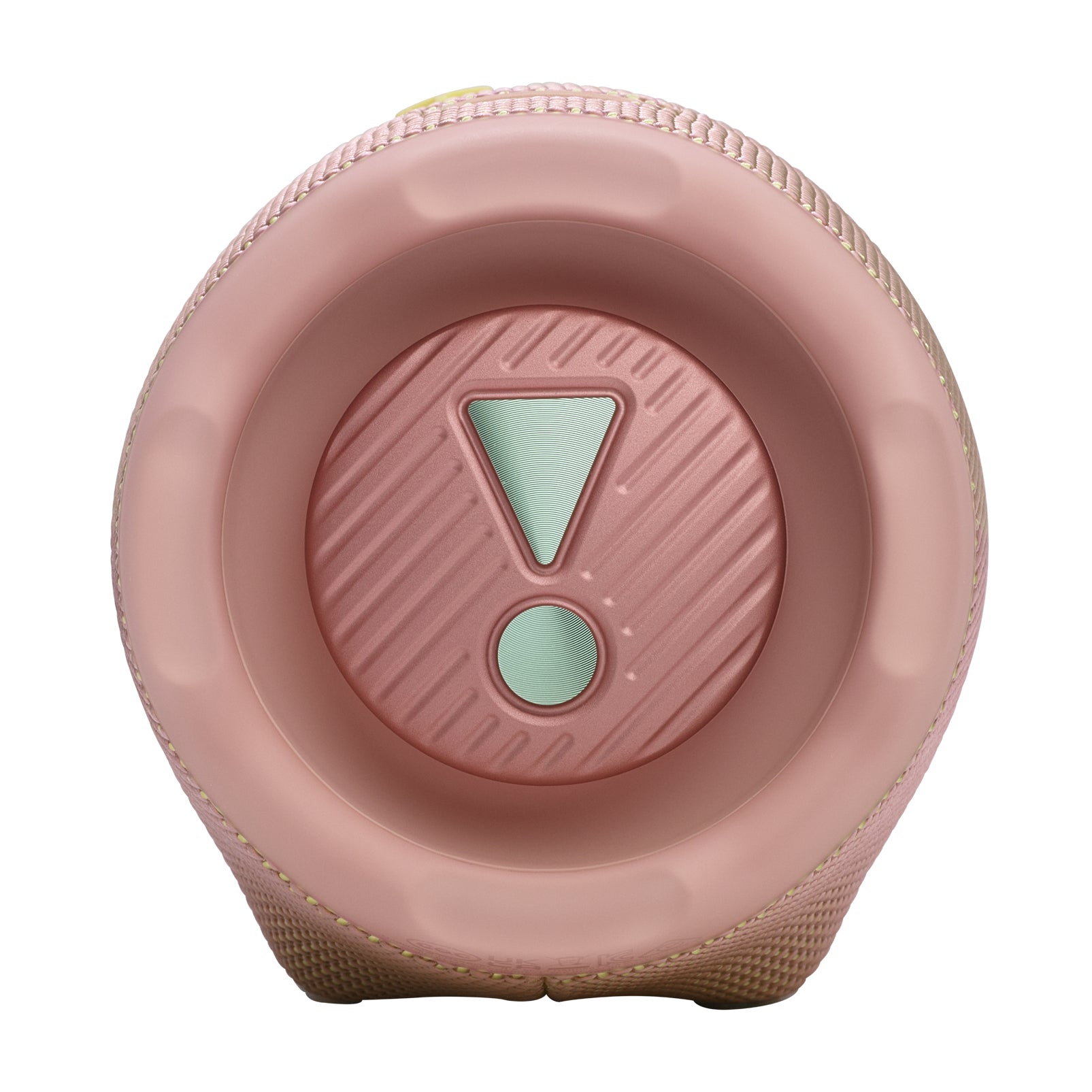 JBL Charge 6 Rosa 45 W