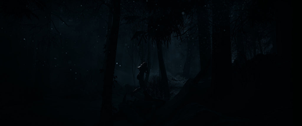 Sony Until Dawn Standard Flerspråkig PlayStation 5